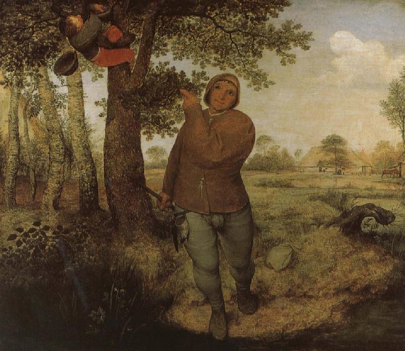 Pieter Bruegel From farmers and Selenocosmia Germany oil painting art
